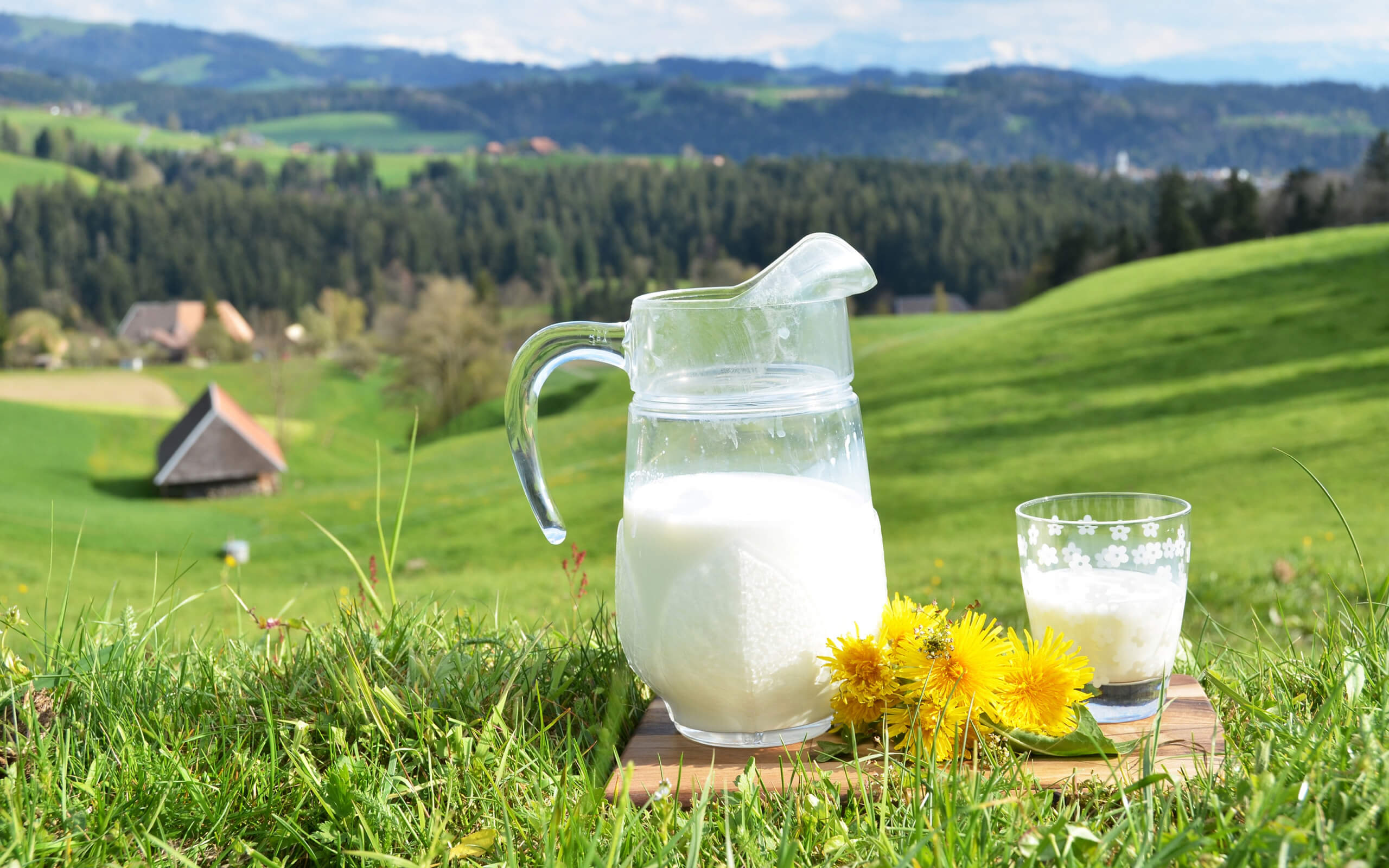 Как обстоят дела в молочной отрасли Беларуси: взгляд производителей